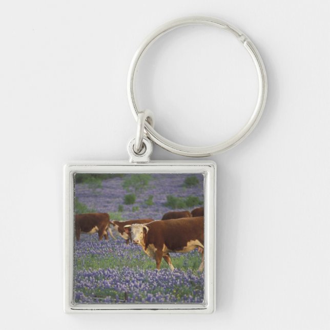 USA, Texas, Texas Hill Country, Hereford Key Ring (Front)