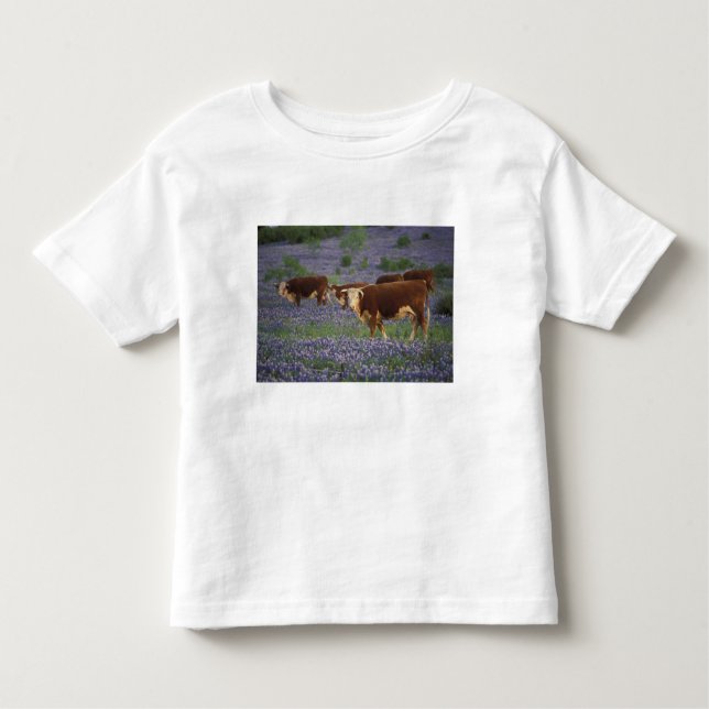 USA, Texas, Texas Hill Country, Hereford Toddler T-Shirt (Front)