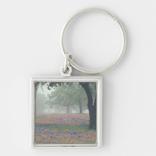 USA, Texas. Texas paintbrush and bluebonnets Key Ring (Front)
