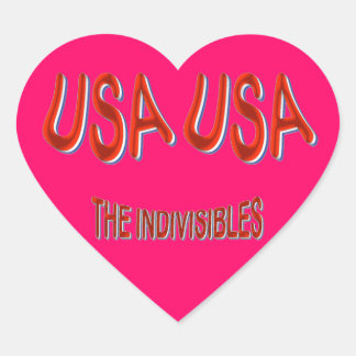 USA THE INDIVISIBLES Red White Blue Heart Sticker