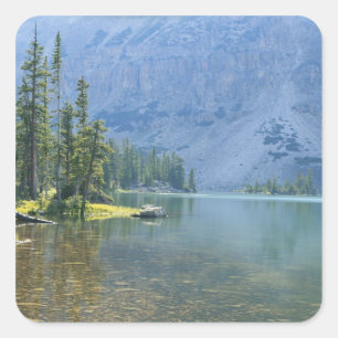 USA, Utah, Ashley National Forest, High Uintas Square Sticker