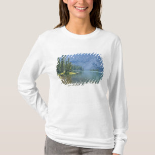 USA, Utah, Ashley National Forest, High Uintas T-Shirt