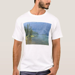 USA, Utah, Ashley National Forest, High Uintas T-Shirt