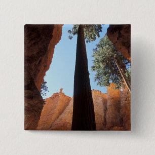 USA, Utah, Bryce Canyon National Park. Tall 15 Cm Square Badge