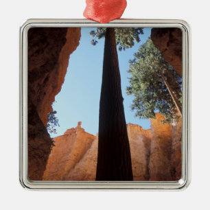 USA, Utah, Bryce Canyon National Park. Tall Metal Tree Decoration