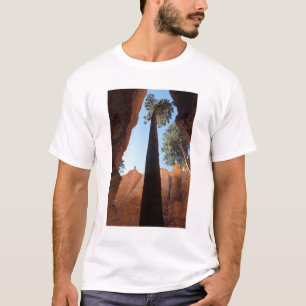 USA, Utah, Bryce Canyon National Park. Tall T-Shirt