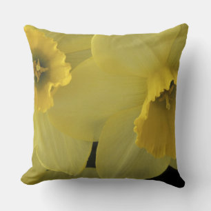 USA, Utah, Cache Valley Daffodils Cushion