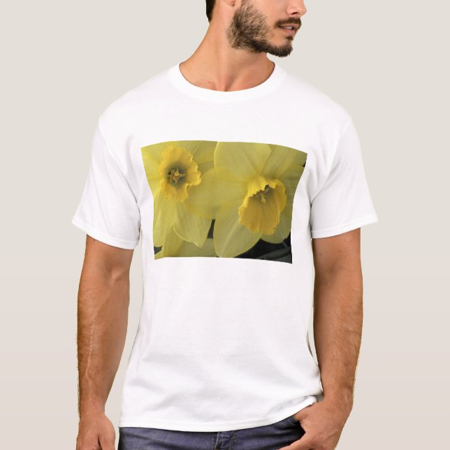 USA, Utah, Cache Valley Daffodils T-Shirt (Front)