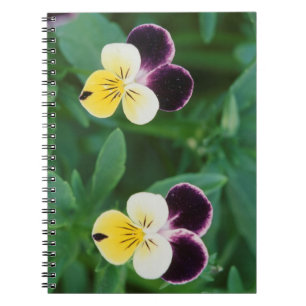 USA, Utah, Cache Valley, Johnny Jump Up Spiral Notebook
