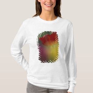 USA, Utah, Cache Valley Tulips in a garden T-Shirt