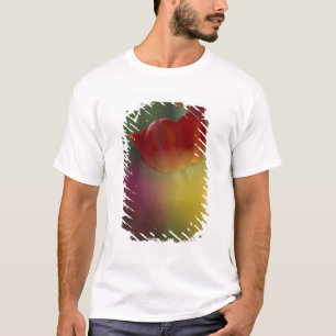 USA, Utah, Cache Valley Tulips in a garden T-Shirt