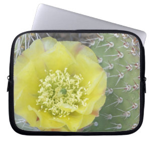 USA, Utah, Canyonlands, NP, Desert Prickly Pear Laptop Sleeve