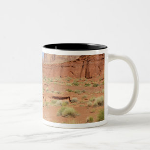 USA, Utah, Canyonlands NP, Shafer Canyon Two-Tone Coffee Mug