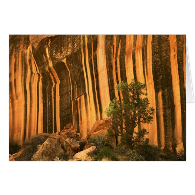 USA, Utah, Capitol Reef National Park (Front Horizontal)