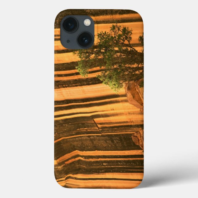 USA, Utah, Capitol Reef National Park Case-Mate iPhone Case (Back)