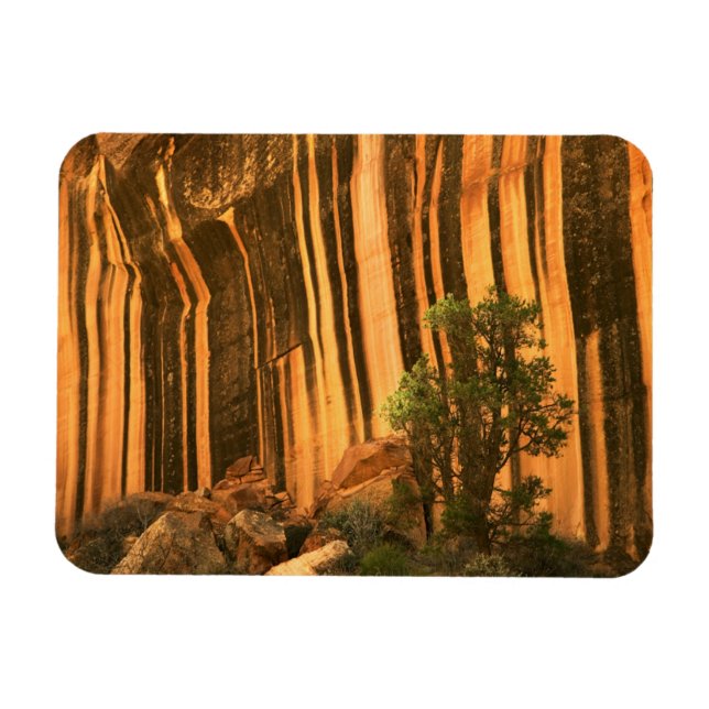 USA, Utah, Capitol Reef National Park Magnet (Horizontal)