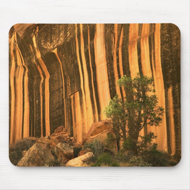 USA, Utah, Capitol Reef National Park Mouse Pad (Front)
