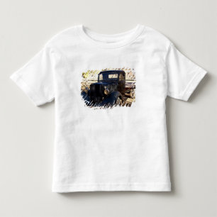 USA, Utah, Capitol Reef National Park, Scenic Toddler T-Shirt