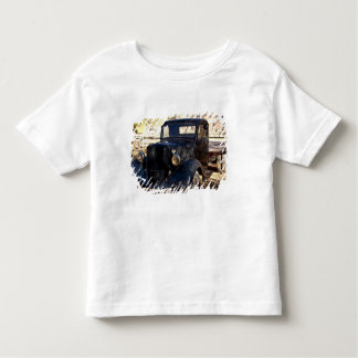 USA, Utah, Capitol Reef National Park, Scenic Toddler T-Shirt