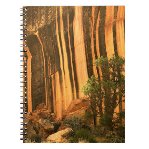 USA, Utah, Capitol Reef National Park Spiral Notebook