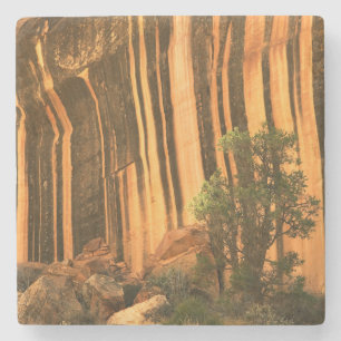 USA, Utah, Capitol Reef National Park Stone Coaster