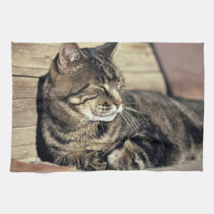 USA, Utah, Capitol Reef NP. Sleeping tabby cat Tea Towel