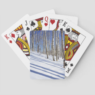 USA, Utah, Dixie National Forest, Aspen Grove Playing Cards