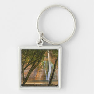 USA, Utah, Escalante Wilderness. A view of Key Ring