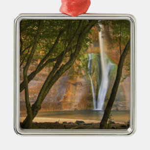 USA, Utah, Escalante Wilderness. A view of Metal Tree Decoration