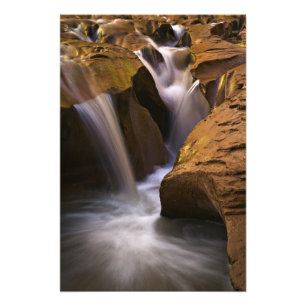 USA, Utah, Escalante Wilderness. Waterfall in 2 Photo Print