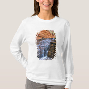 USA, Utah, Escalante Wilderness. Waterfall in T-Shirt