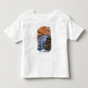 USA, Utah, Escalante Wilderness. Waterfall in Toddler T-Shirt
