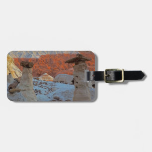 USA, Utah, Grand Staircase Escalante-National 2 Luggage Tag