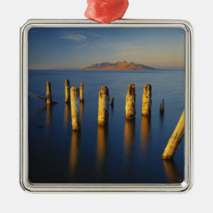 USA, Utah, Great Basin, Saltair, Great Salt Metal Tree Decoration