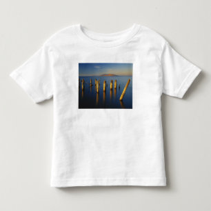 USA, Utah, Great Basin, Saltair, Great Salt Toddler T-Shirt