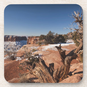 USA, Utah, Moab. Canyonlands National Park, Coaster