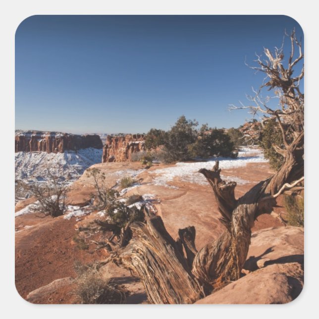 USA, Utah, Moab. Canyonlands National Park, Square Sticker (Front)