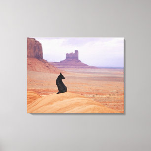USA, Utah, Monument Valley, Dog sitting on rock Canvas Print