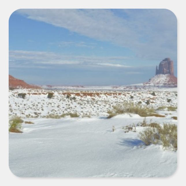 USA, Utah, Monument Valley. Sagebrush shows Square Sticker (Front)