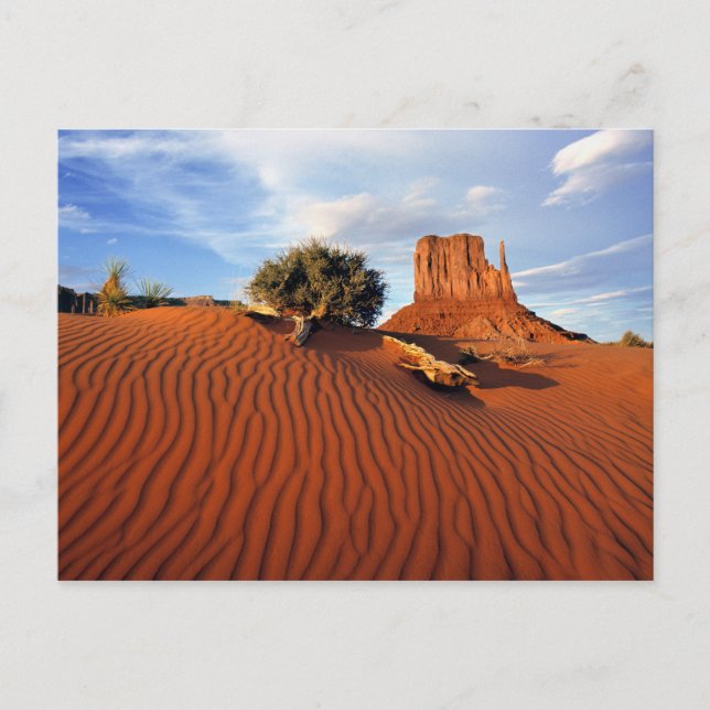 USA, Utah, Monument Valley. Wind creates Postcard (Front)