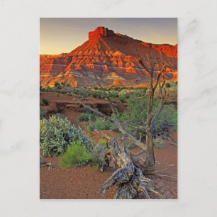 USA, Utah. Paria Canyon sandstone formation at Postcard