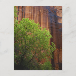 USA, Utah, Paria Canyon- Vermillion Cliffs Postcard