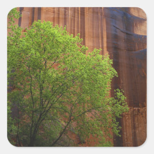 USA, Utah, Paria Canyon- Vermillion Cliffs Square Sticker