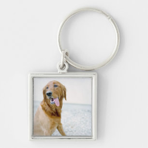 USA, Utah, Salt Lake City, Half shaved Golden Key Ring