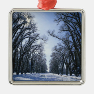 USA, Utah, Salt Lake City, Liberty Park, Metal Tree Decoration