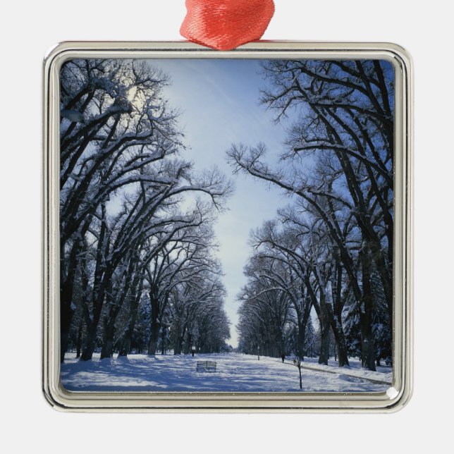 USA, Utah, Salt Lake City, Liberty Park, Metal Tree Decoration (Front)