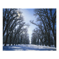 USA, Utah, Salt Lake City, Liberty Park,