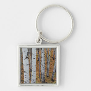 USA, Utah, Uinta-Wasatch-Cache National Forest 2 Key Ring