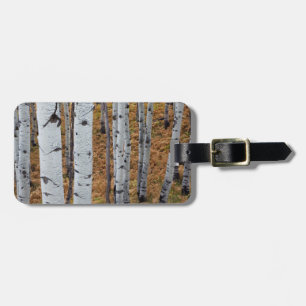 USA, Utah, Uinta-Wasatch-Cache National Forest 2 Luggage Tag