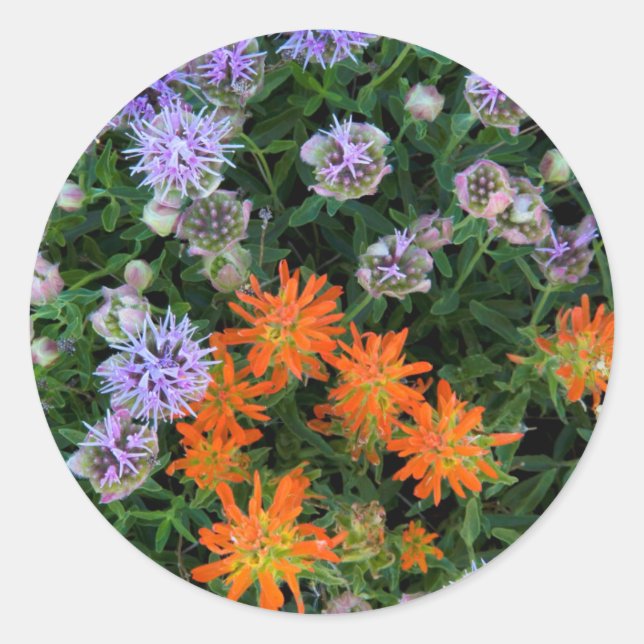 USA, Utah, Uinta-Wasatch-Cache National Forest 3 Classic Round Sticker (Front)